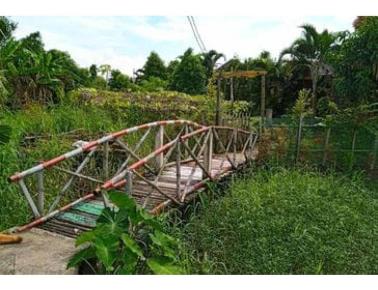 Ferienwohnung Sundarban Wild Camp, Dayapur, Wb Kumirmari Exterior foto