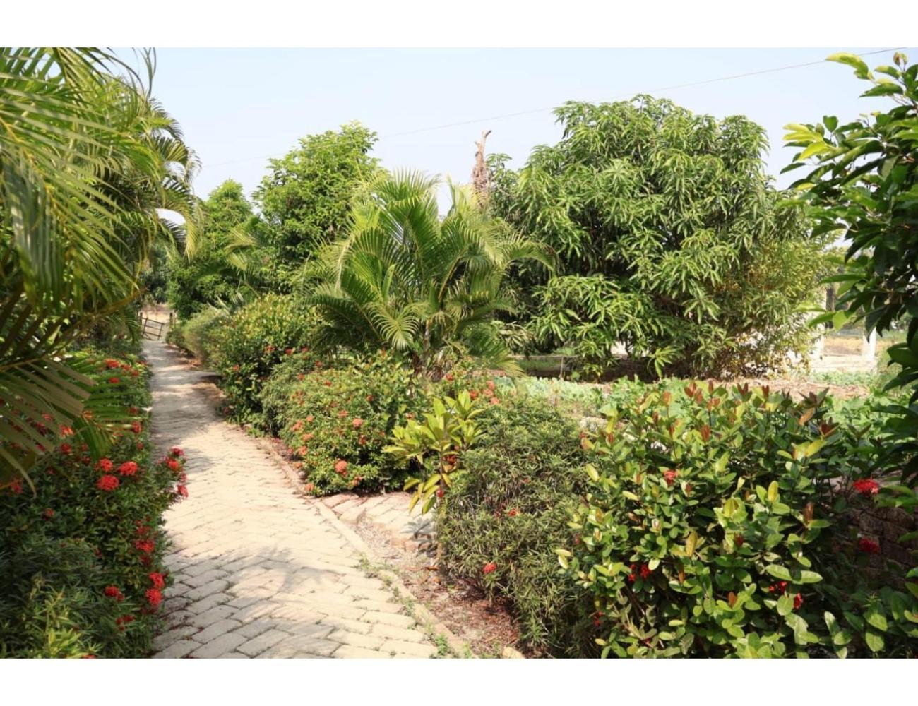 Ferienwohnung Sundarban Wild Camp, Dayapur, Wb Kumirmari Exterior foto